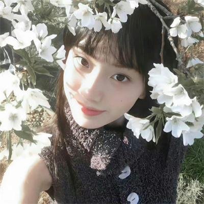 花落水流红 在线观看封面